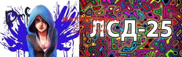 сатива Новосибирск