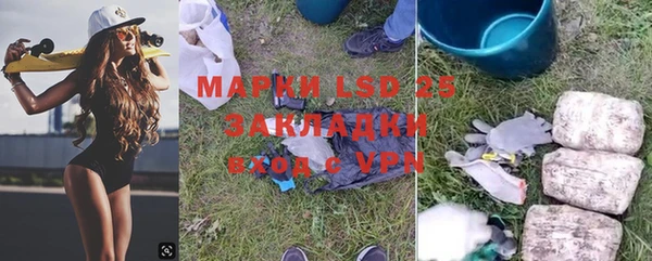 сатива Новосибирск