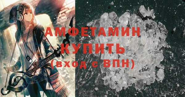 сатива Новосибирск