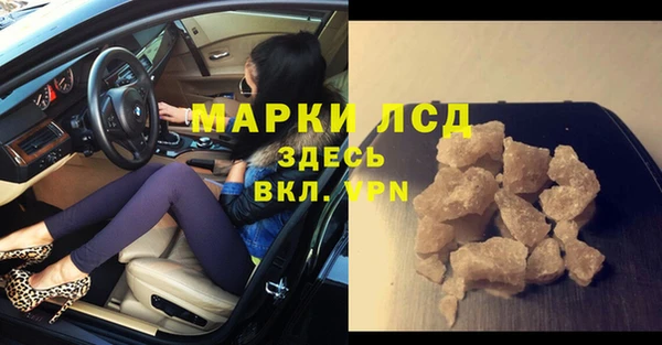 сатива Новосибирск